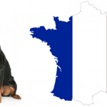 Rottweiler op vakantie naar Frankrijk