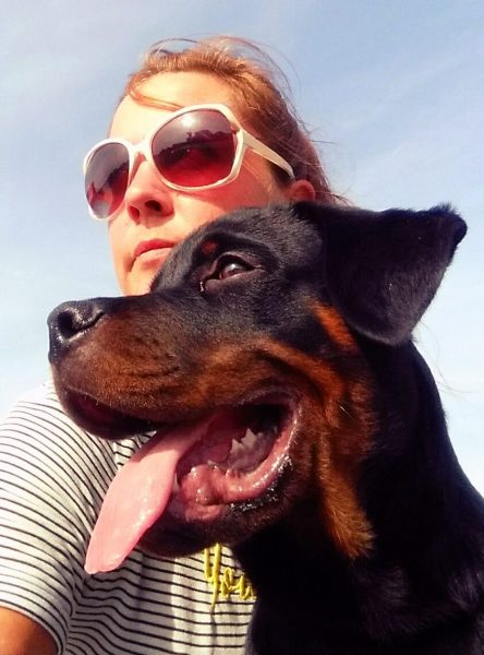 Rottweiler fotografie